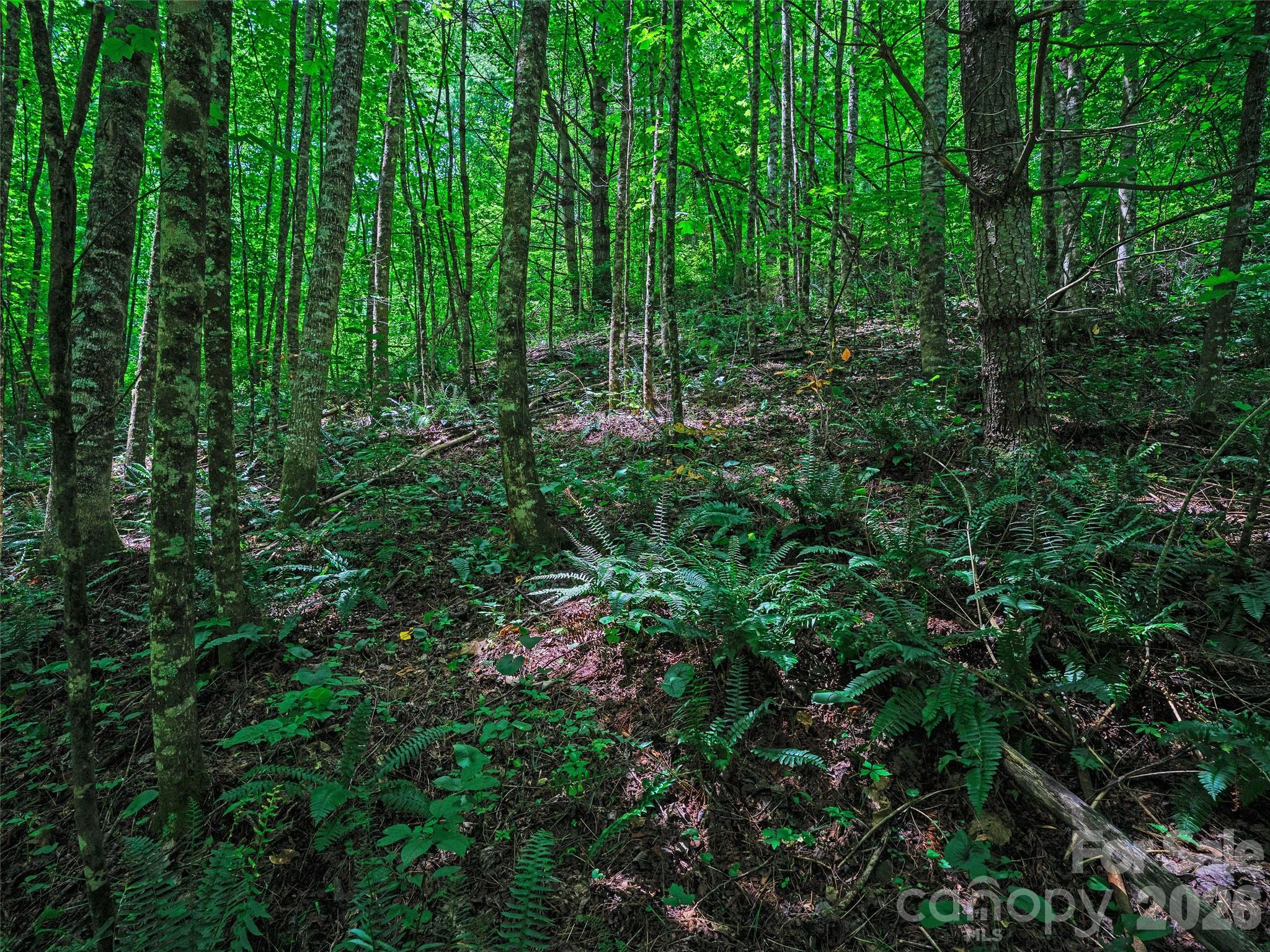 000 Cove Mountain Road