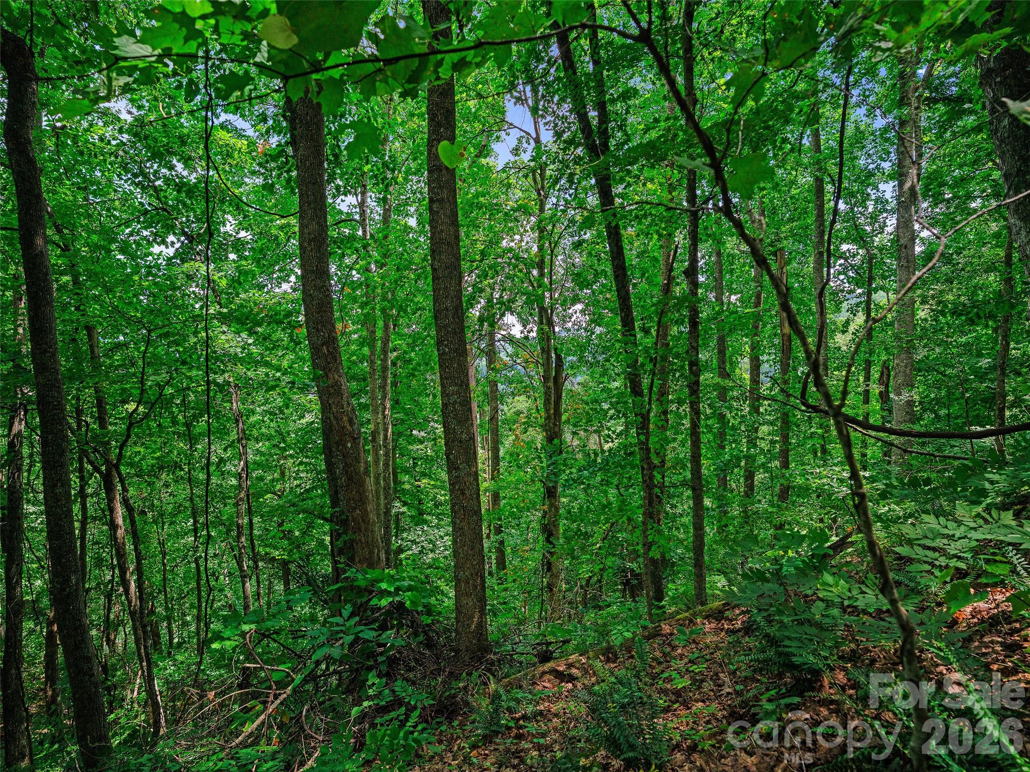 000 Cove Mountain Road