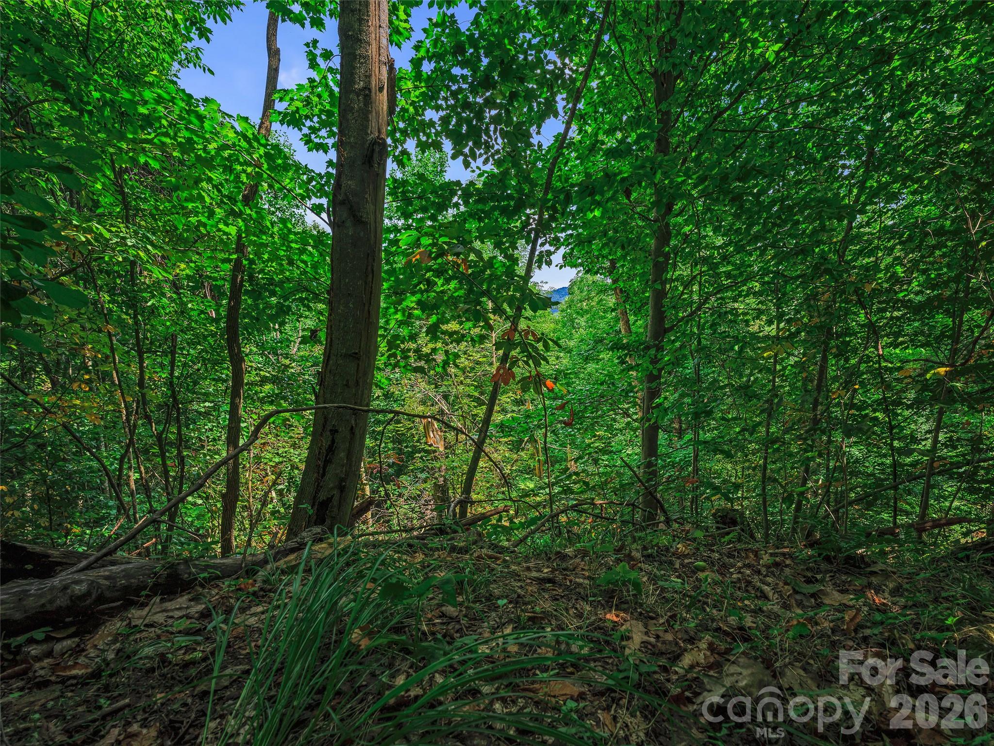 000 Cove Mountain Road