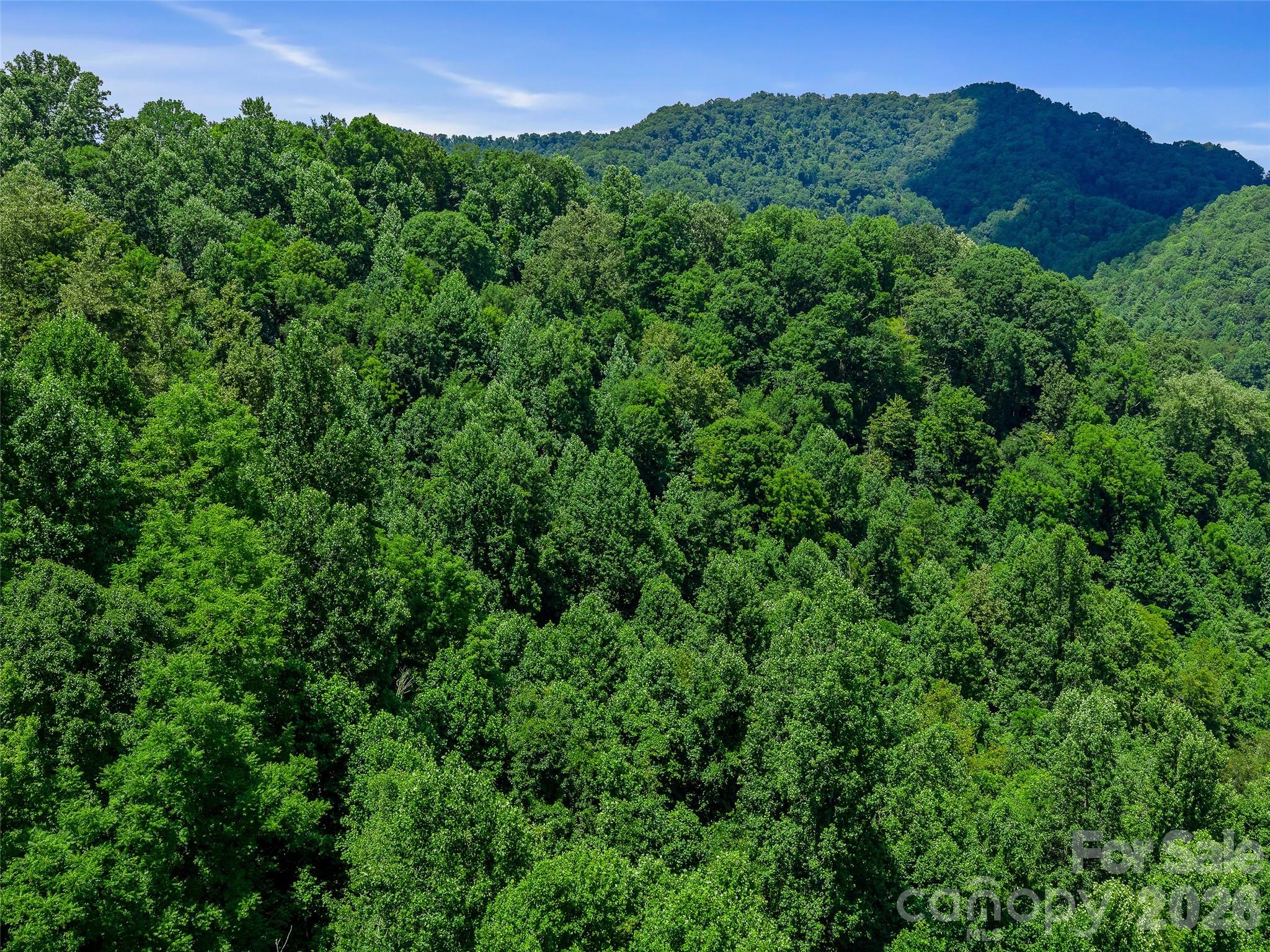 000 Cove Mountain Road