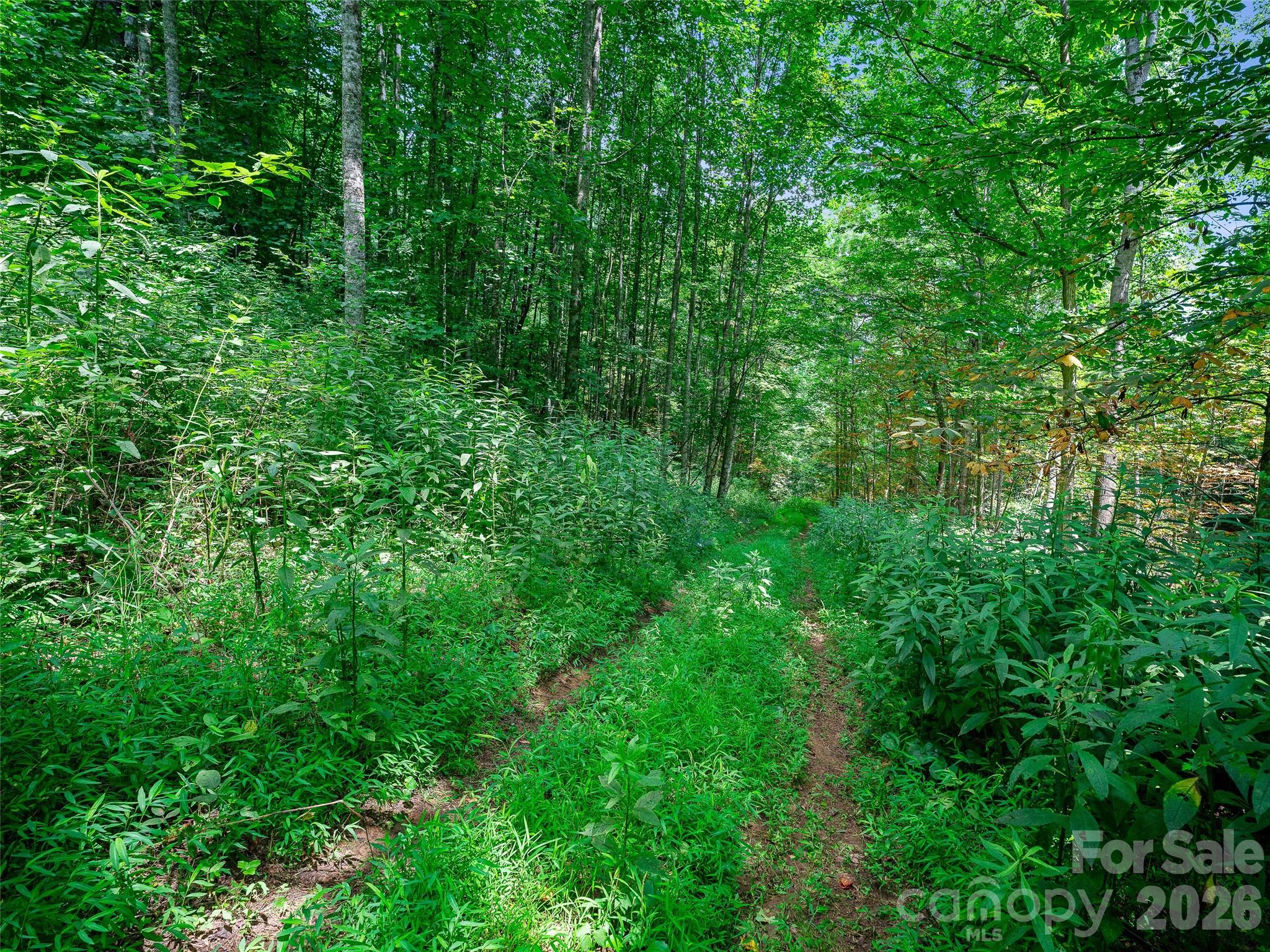 000 Cove Mountain Road