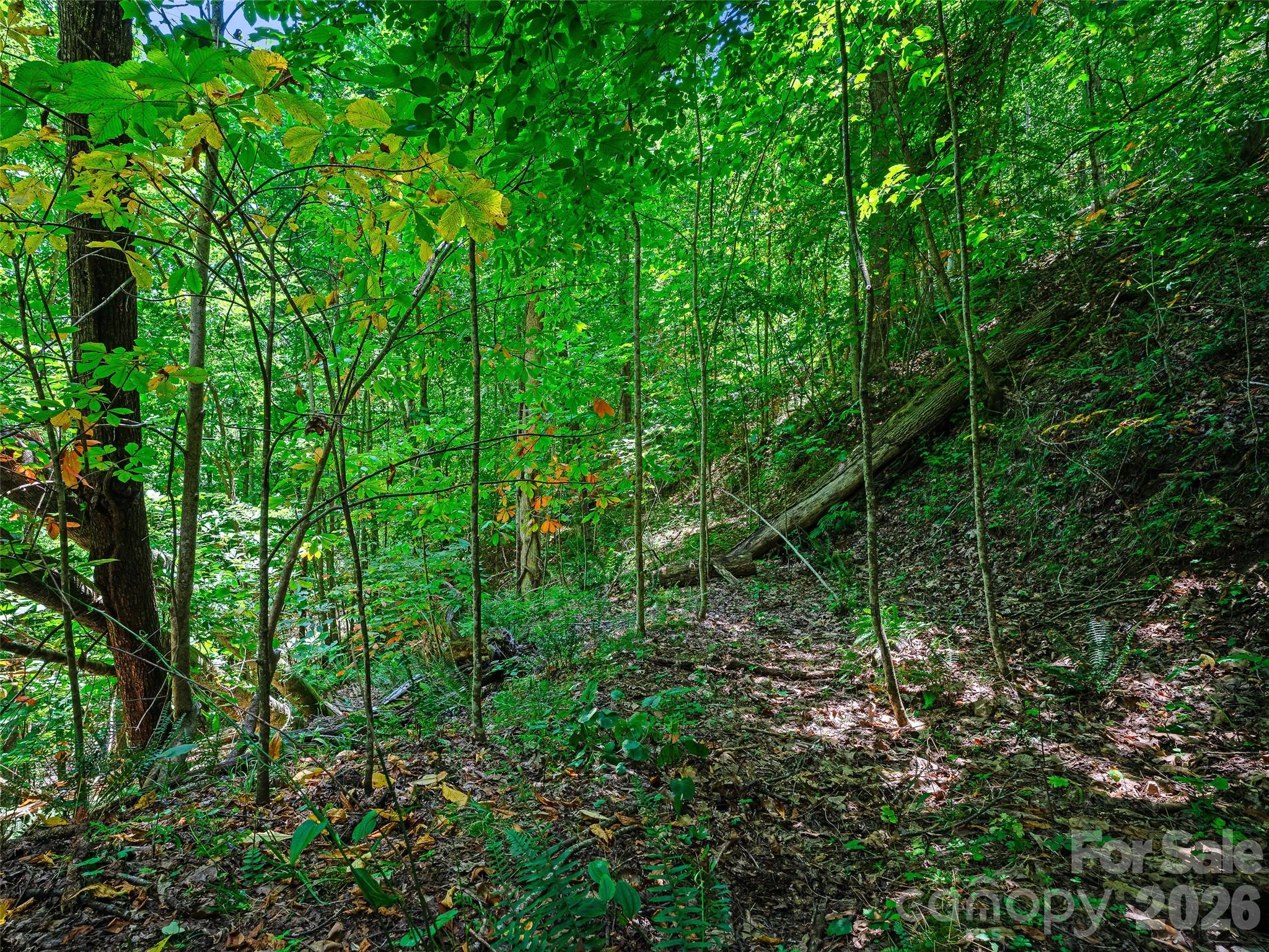 000 Cove Mountain Road
