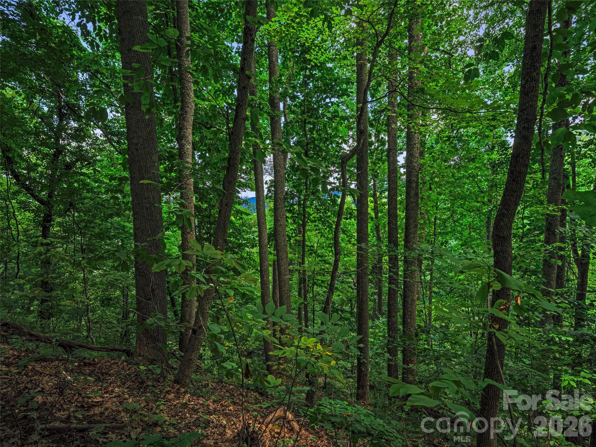 000 Cove Mountain Road