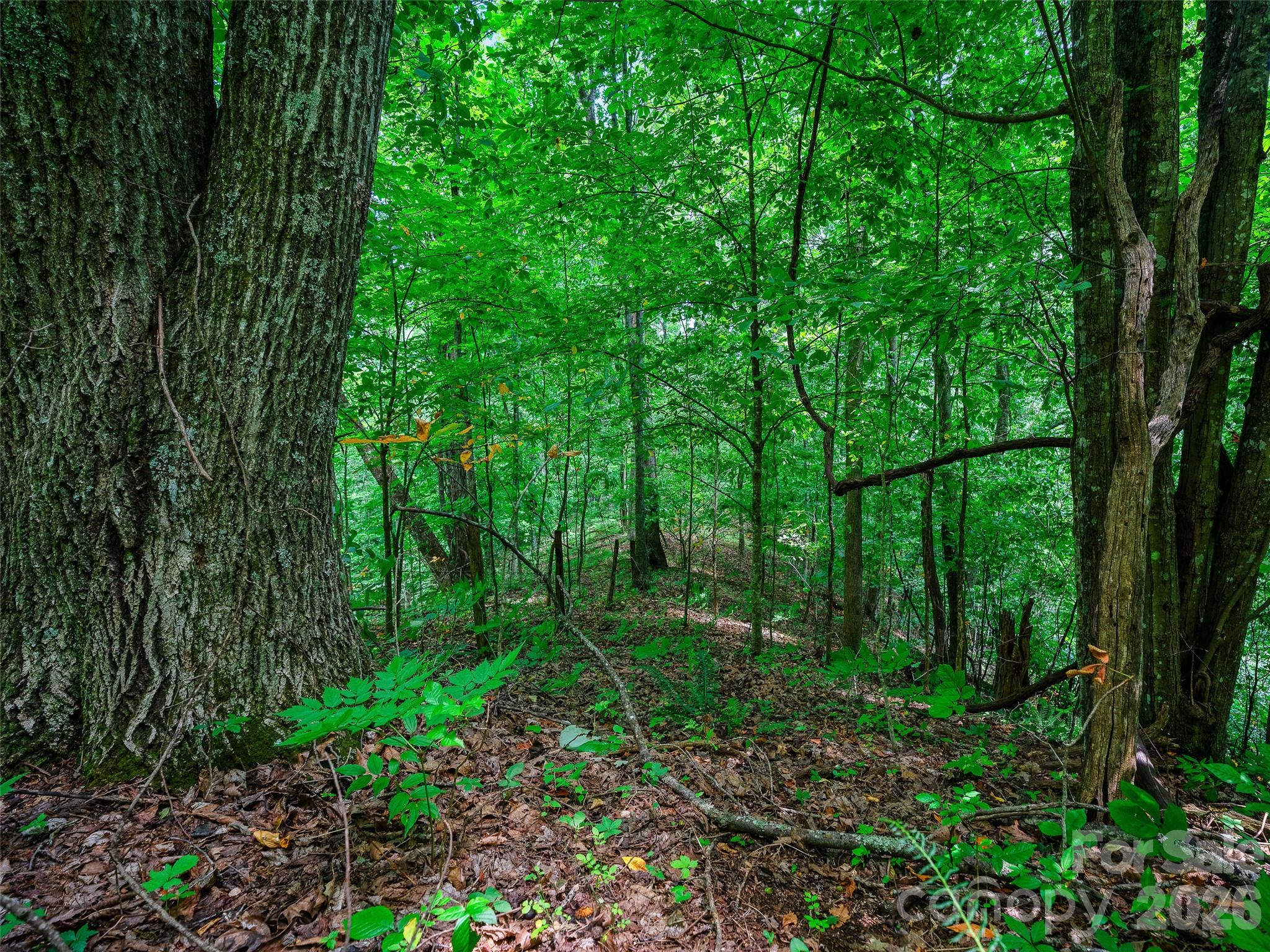 000 Cove Mountain Road