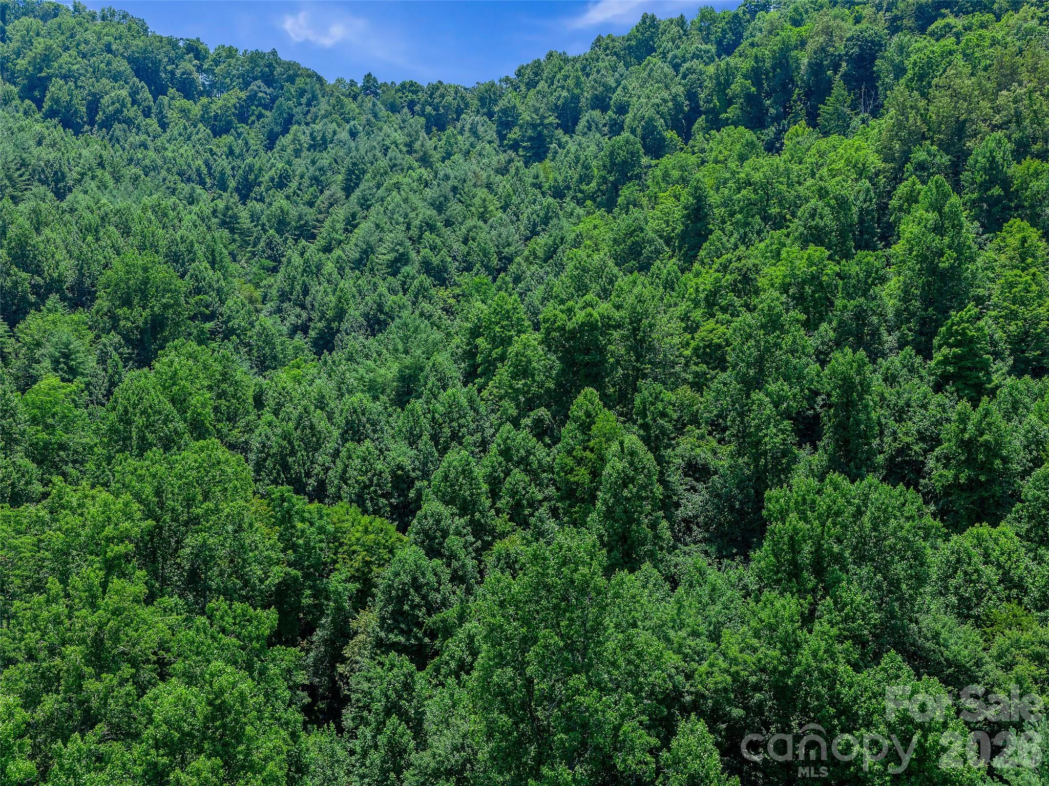 000 Cove Mountain Road
