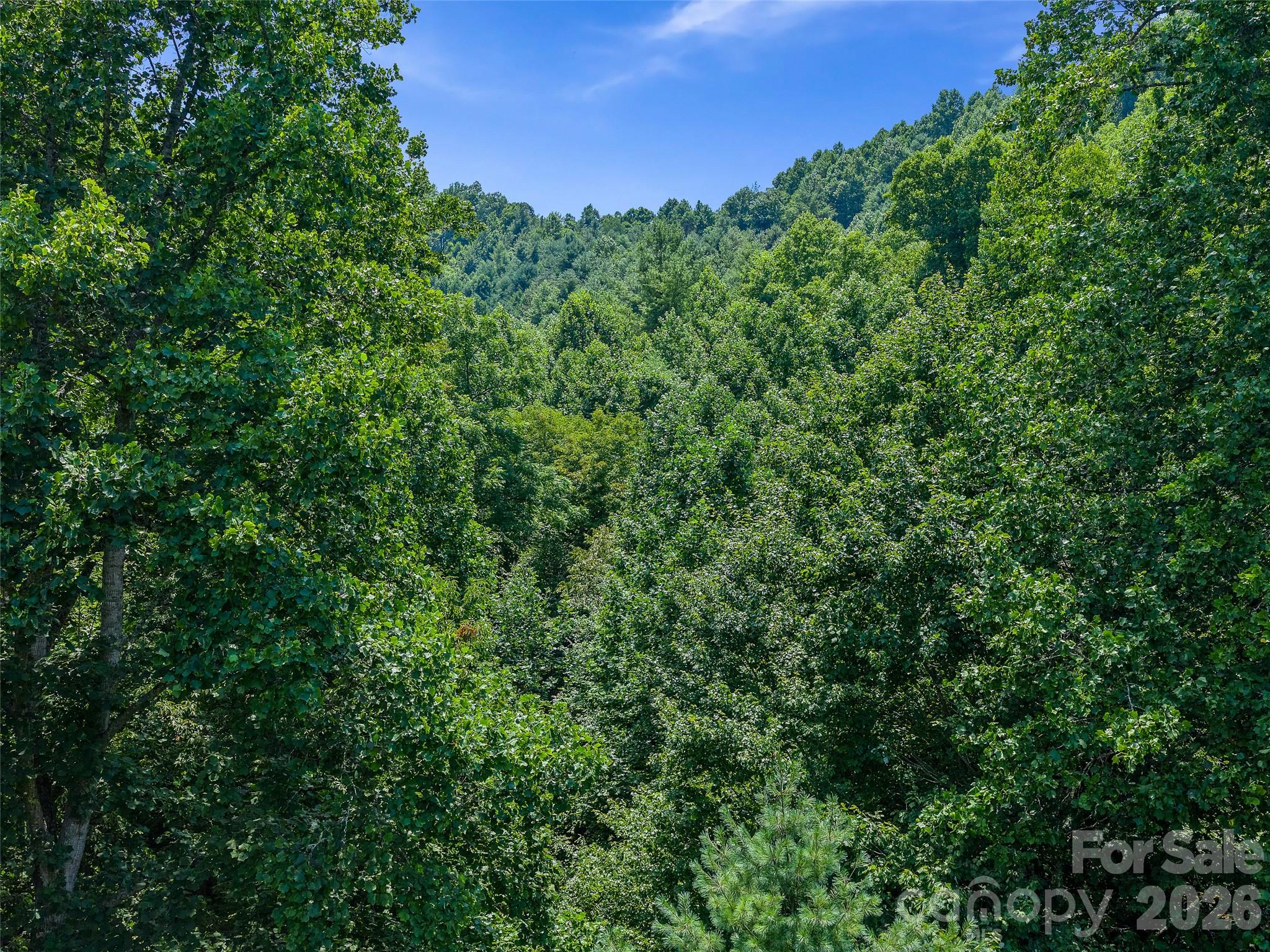 000 Cove Mountain Road