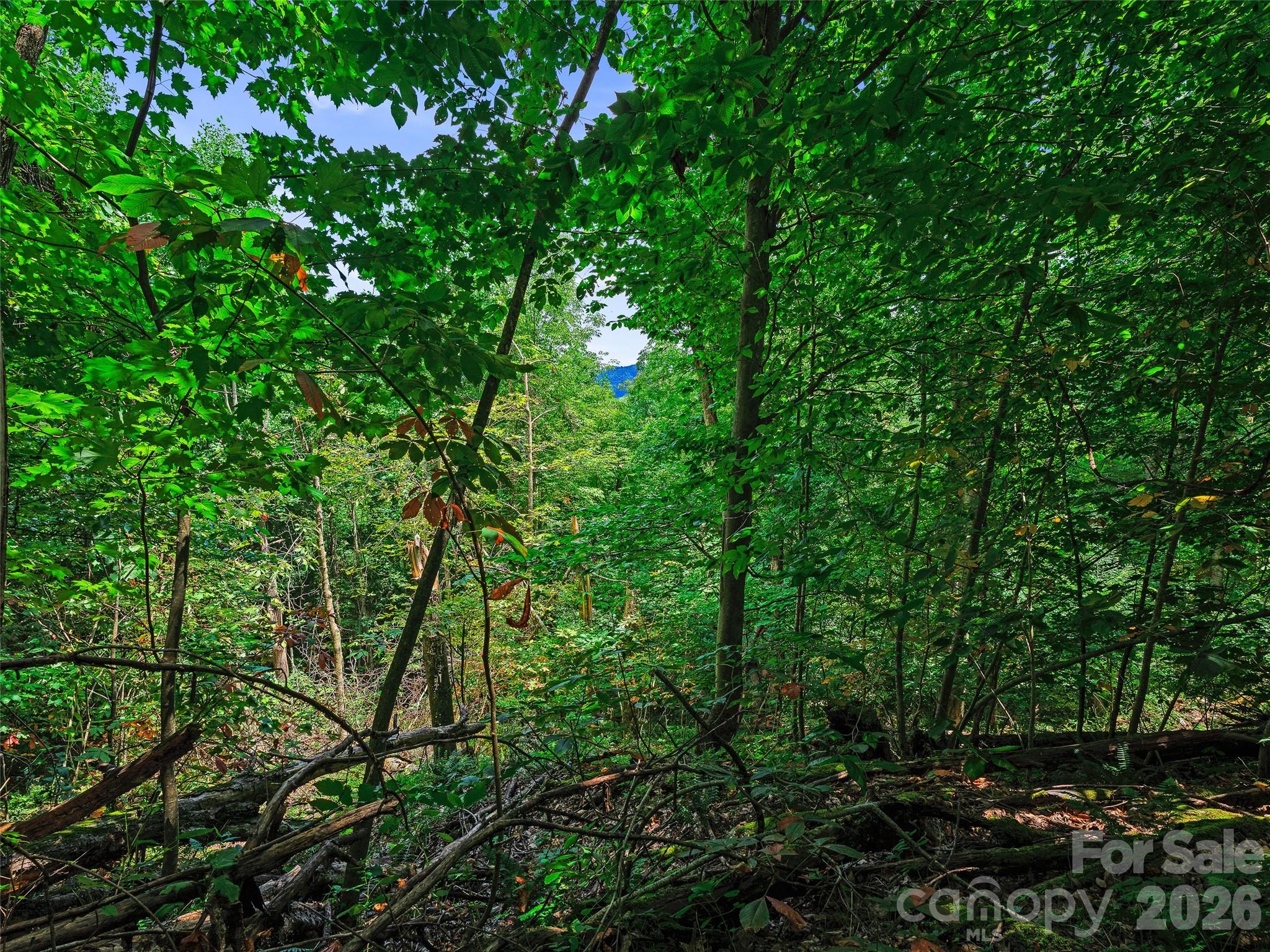 000 Cove Mountain Road