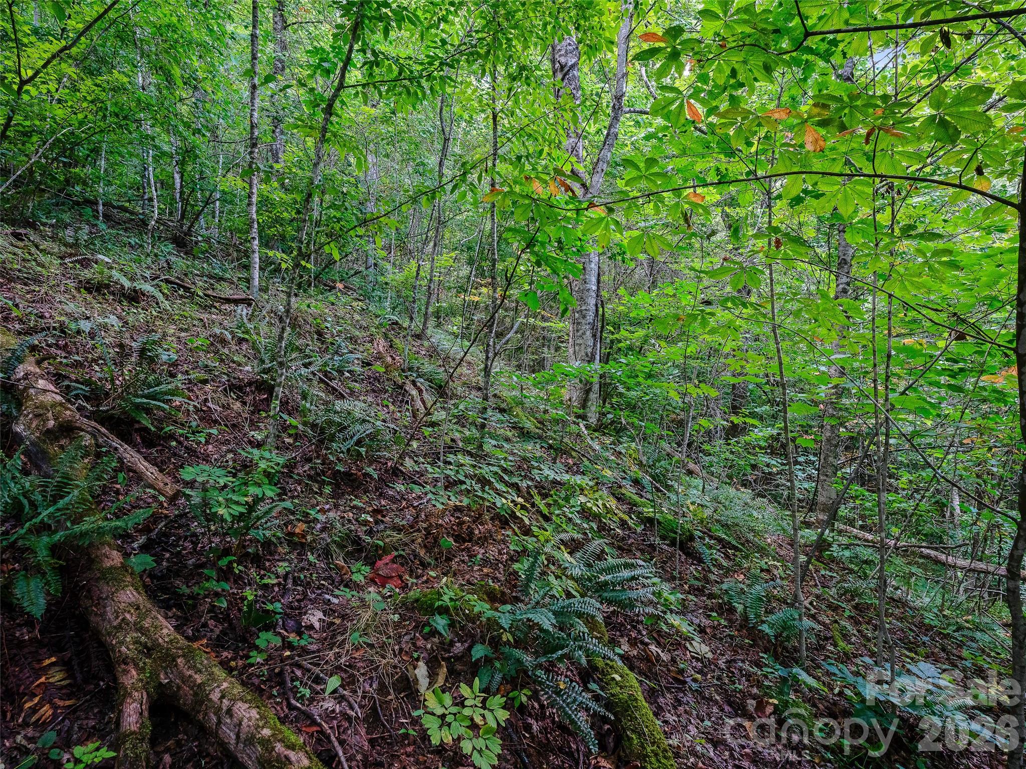 000 Cove Mountain Road