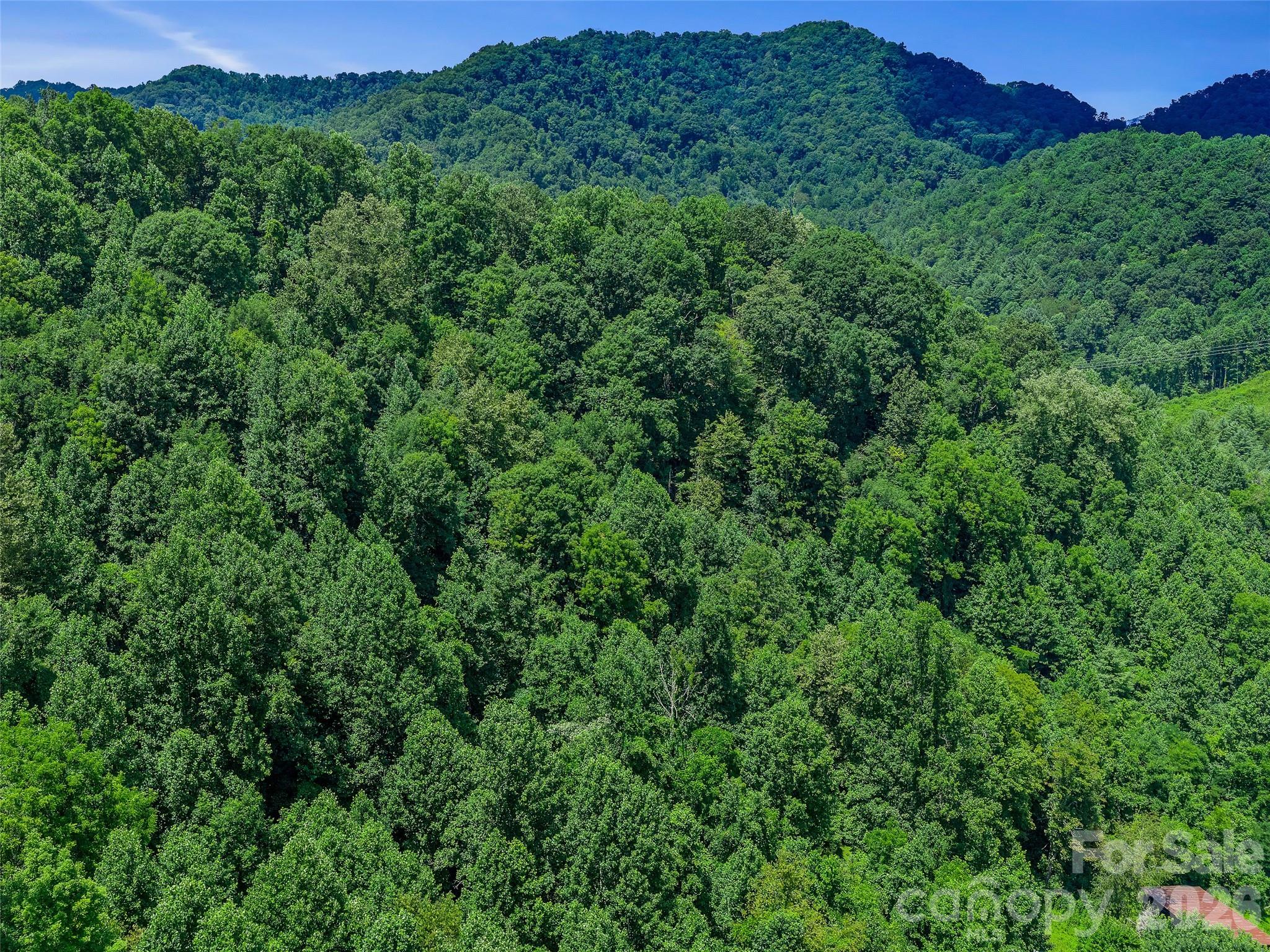 000 Cove Mountain Road
