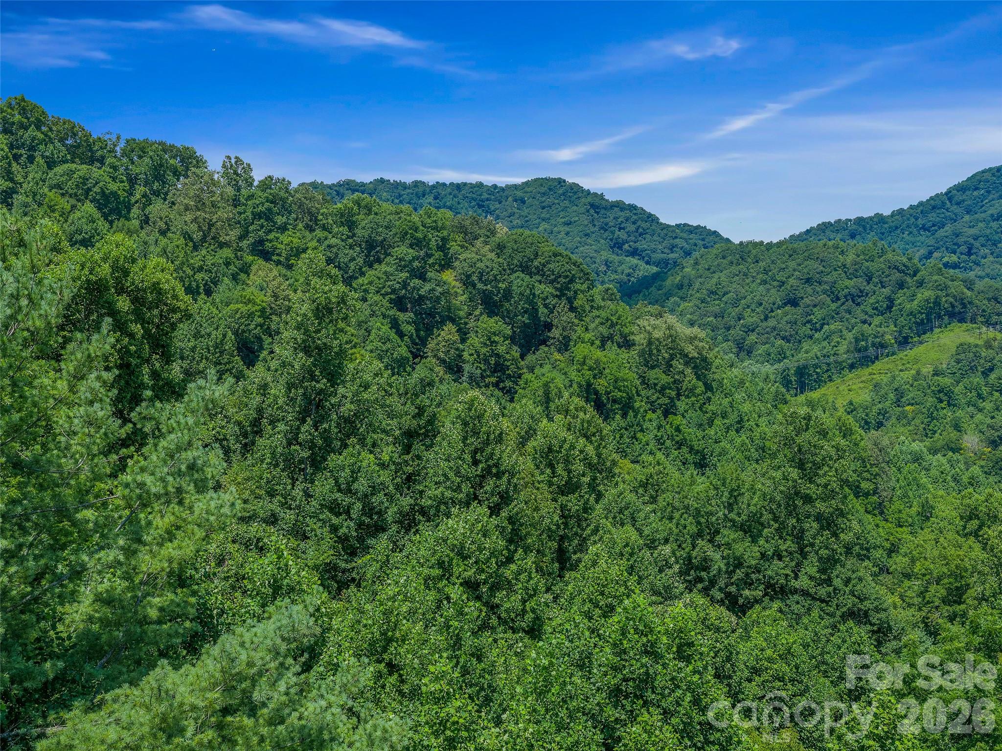 000 Cove Mountain Road
