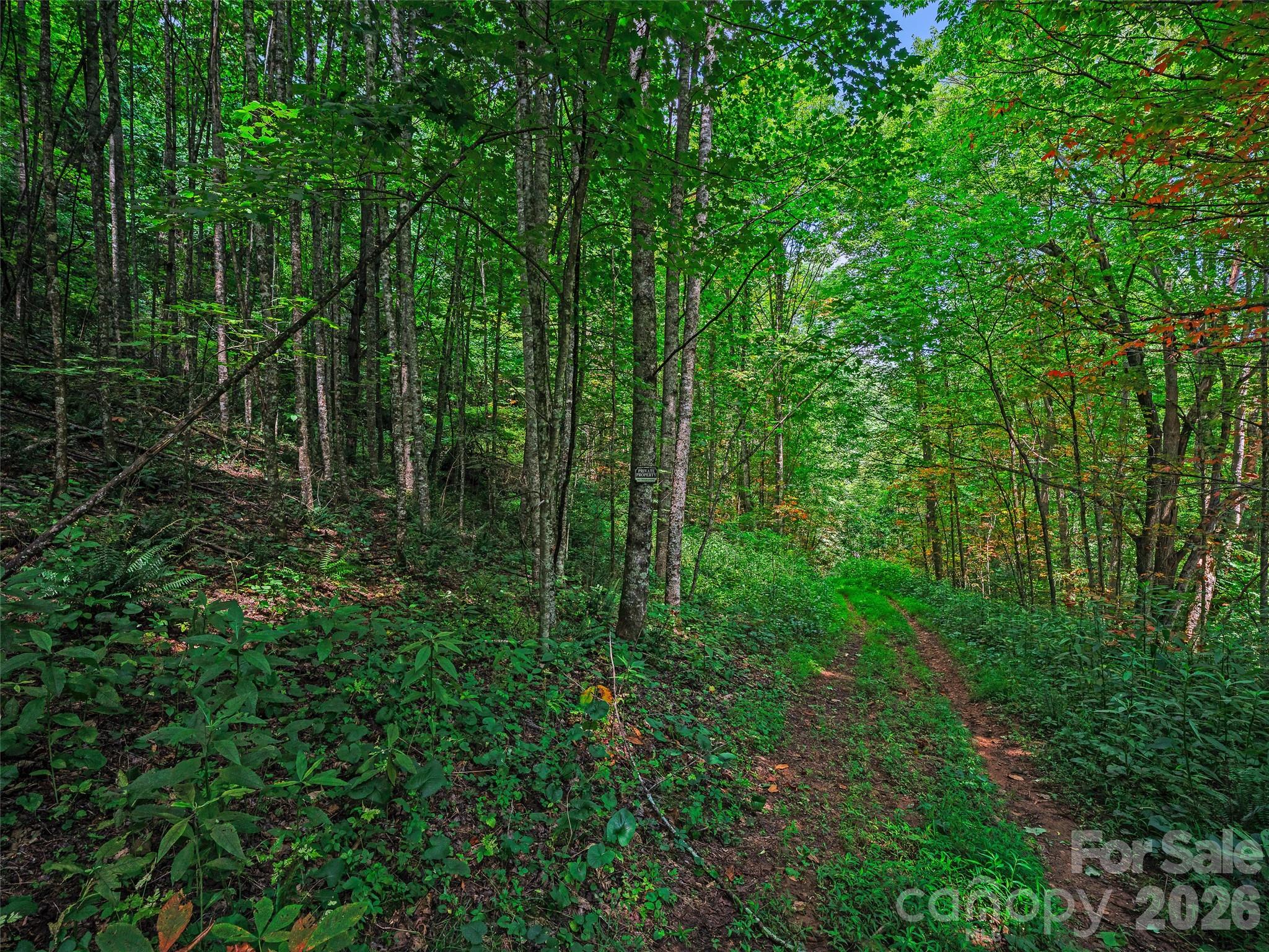 000 Cove Mountain Road
