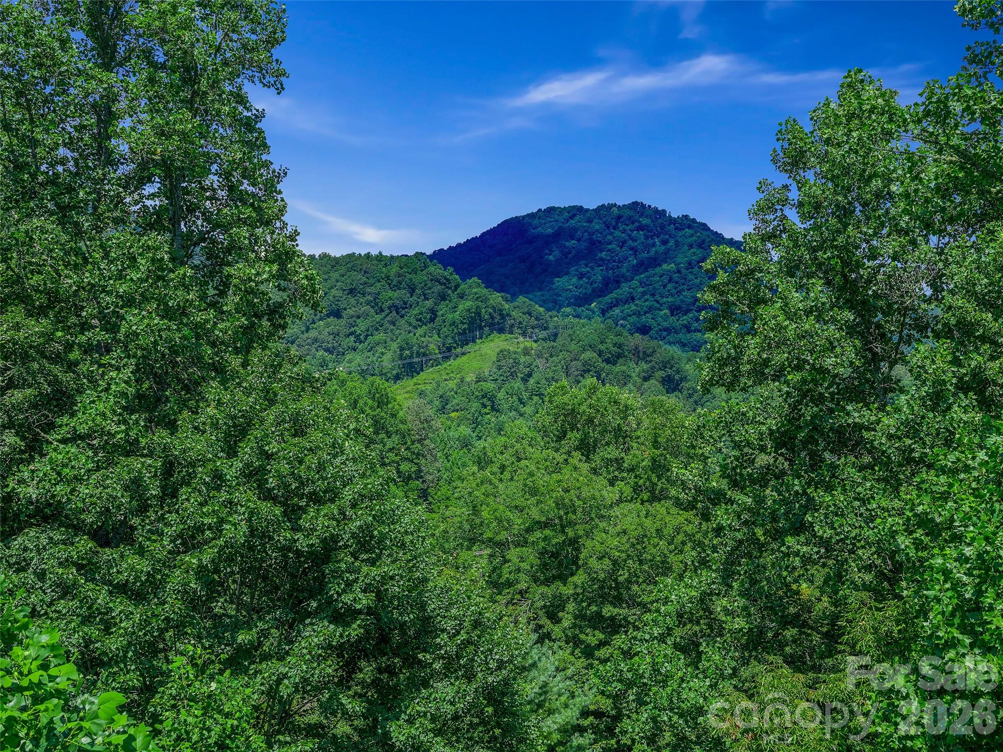 000 Cove Mountain Road