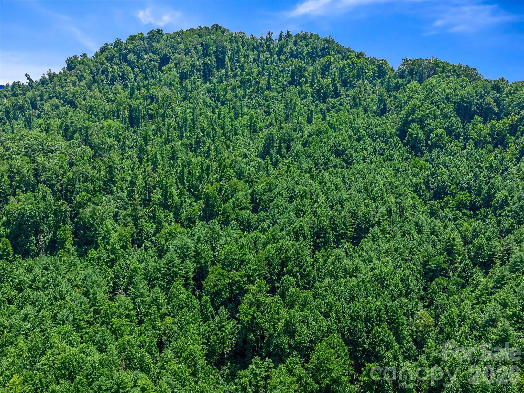 000 Cove Mountain Road