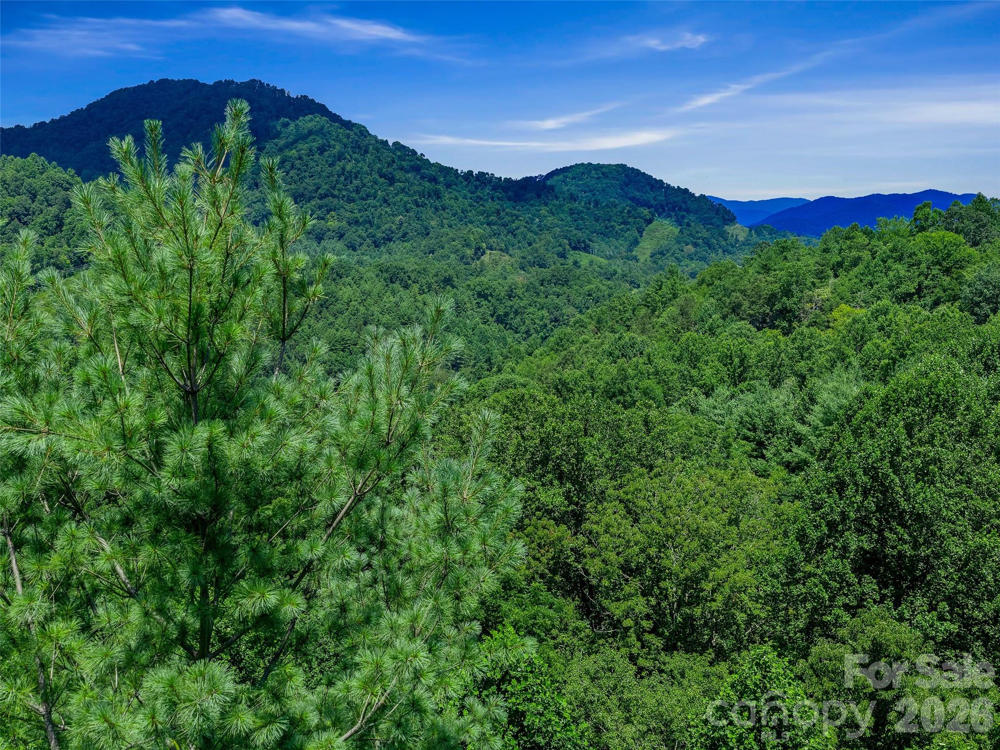 000 Cove Mountain Road