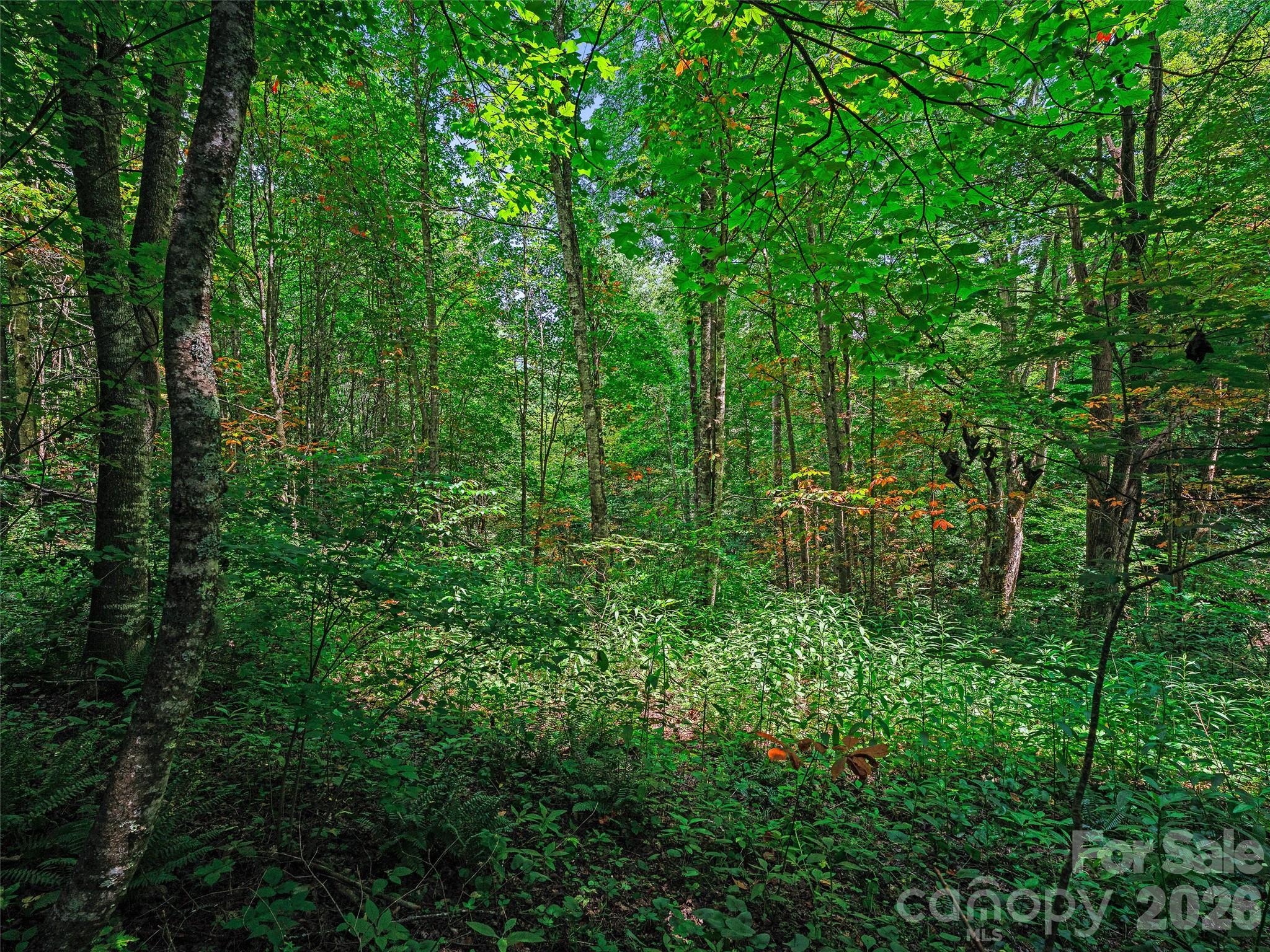 000 Cove Mountain Road