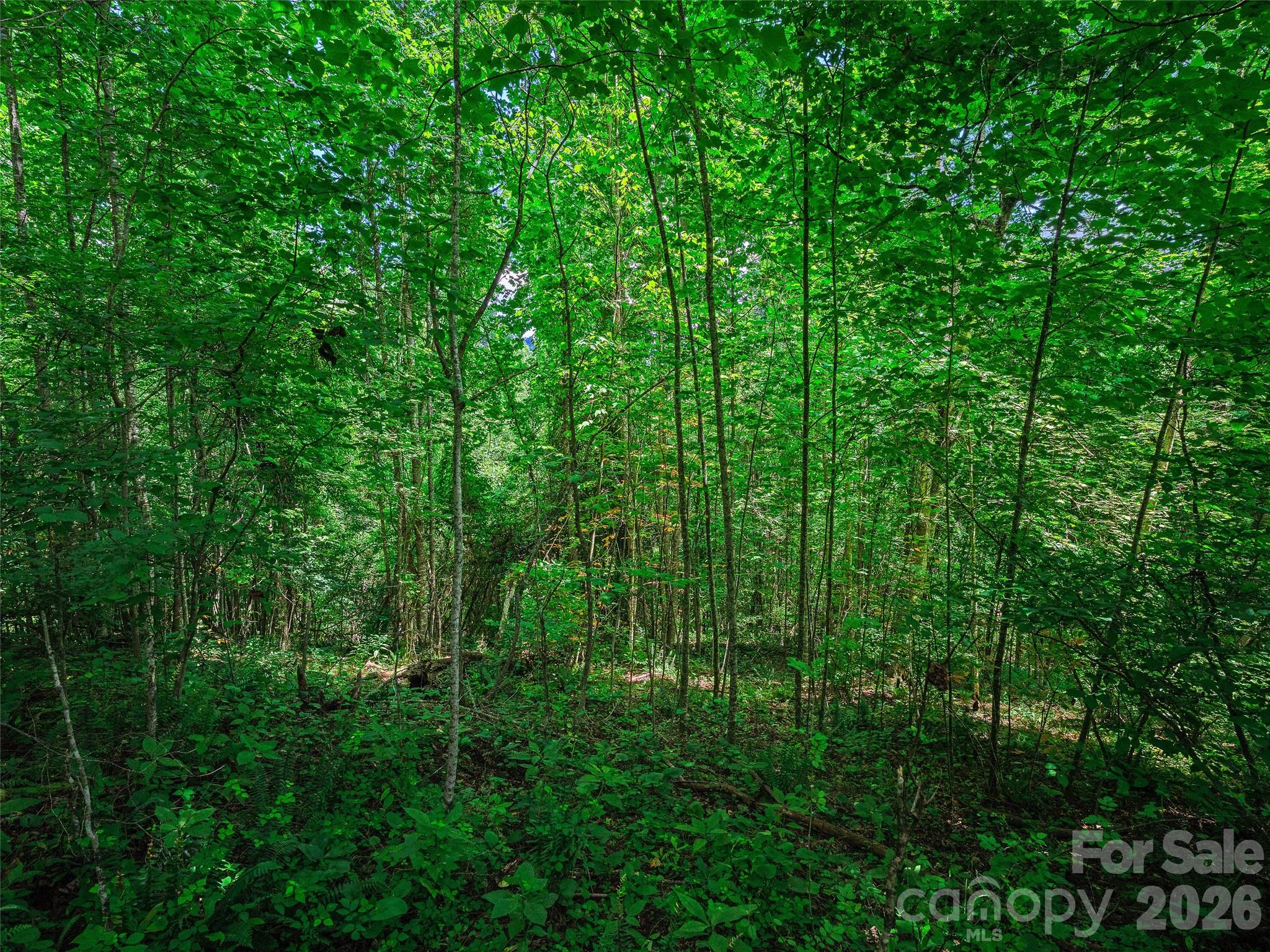 000 Cove Mountain Road