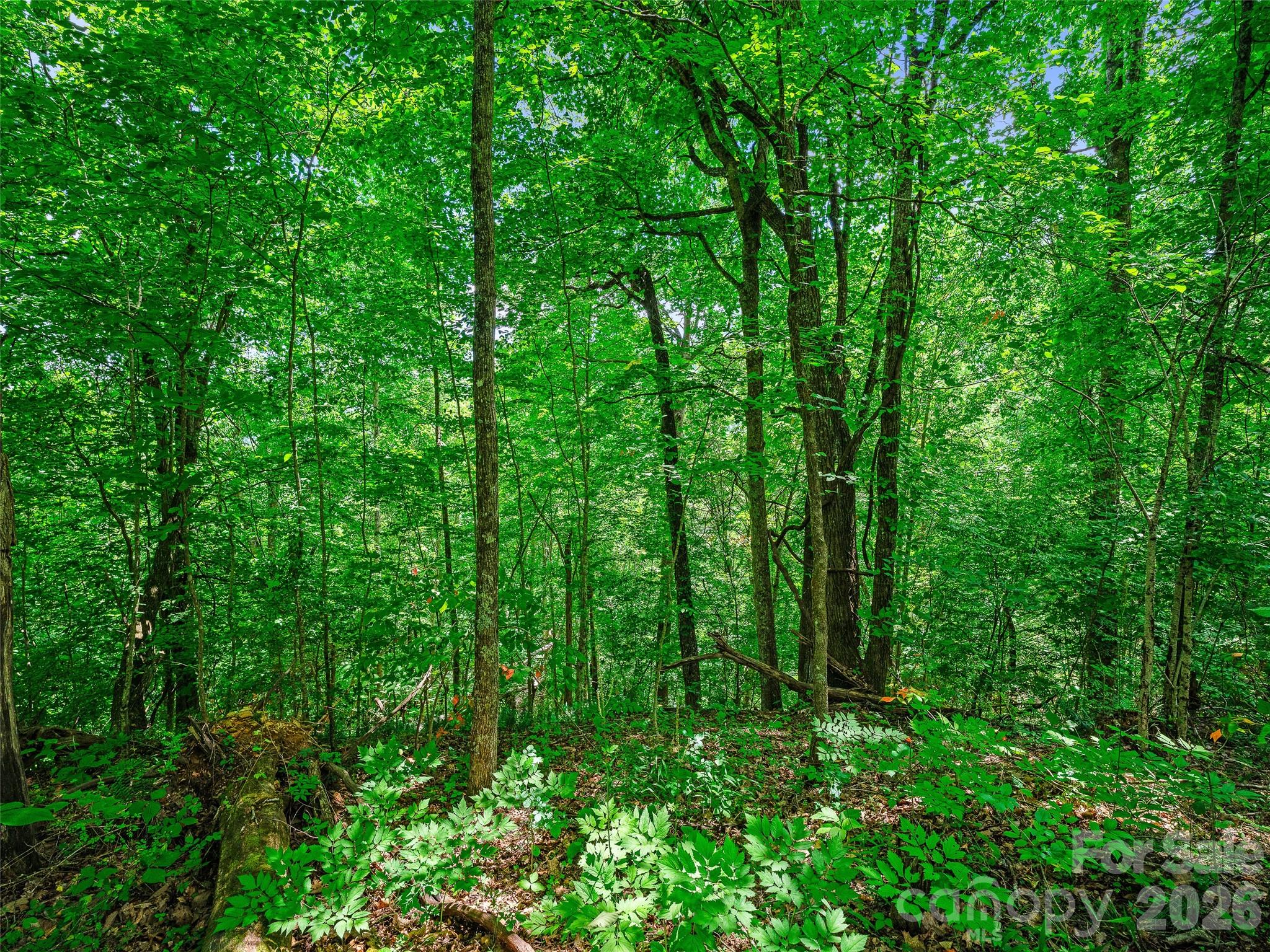 000 Cove Mountain Road