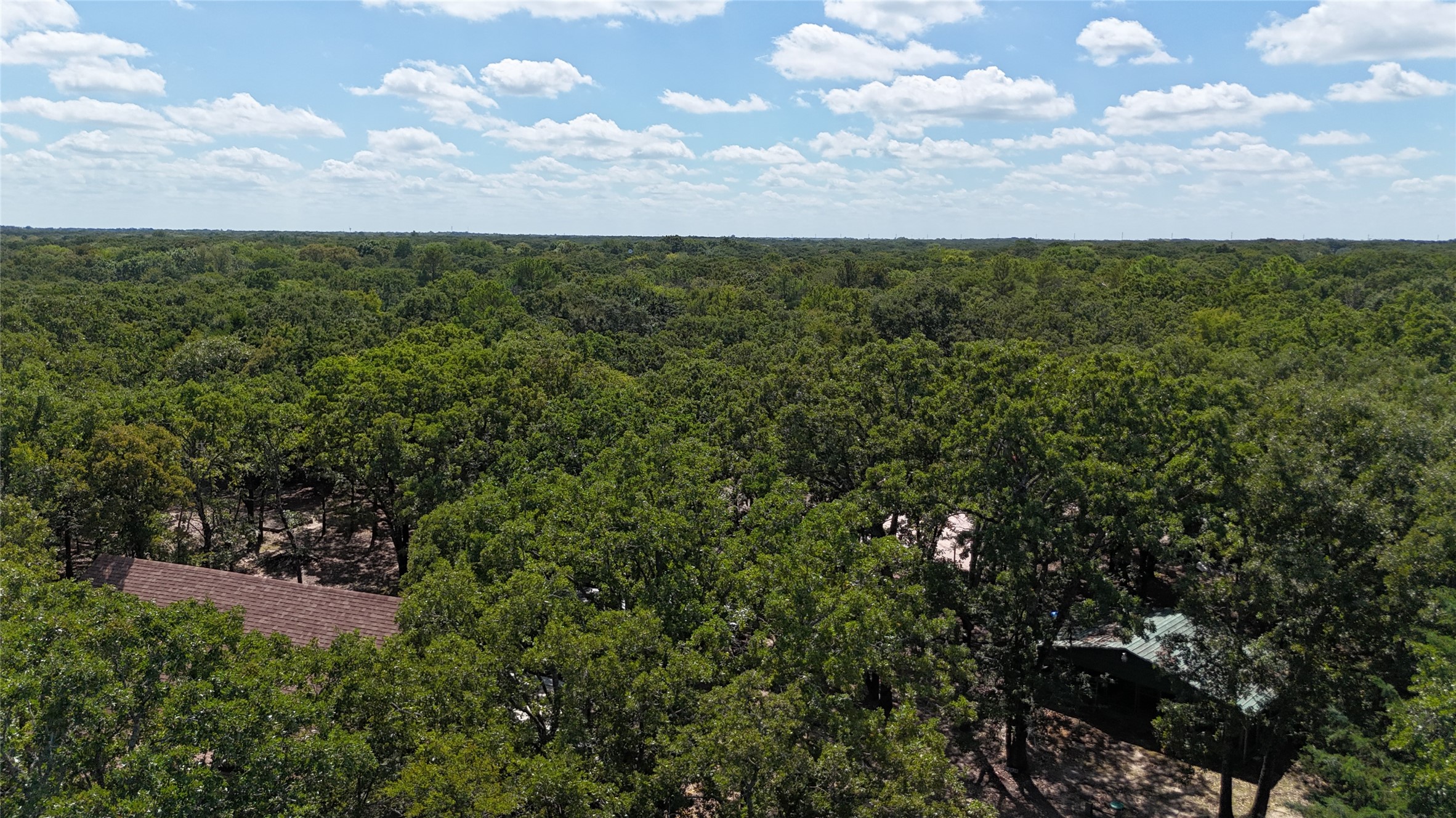 9972 County Road 2434