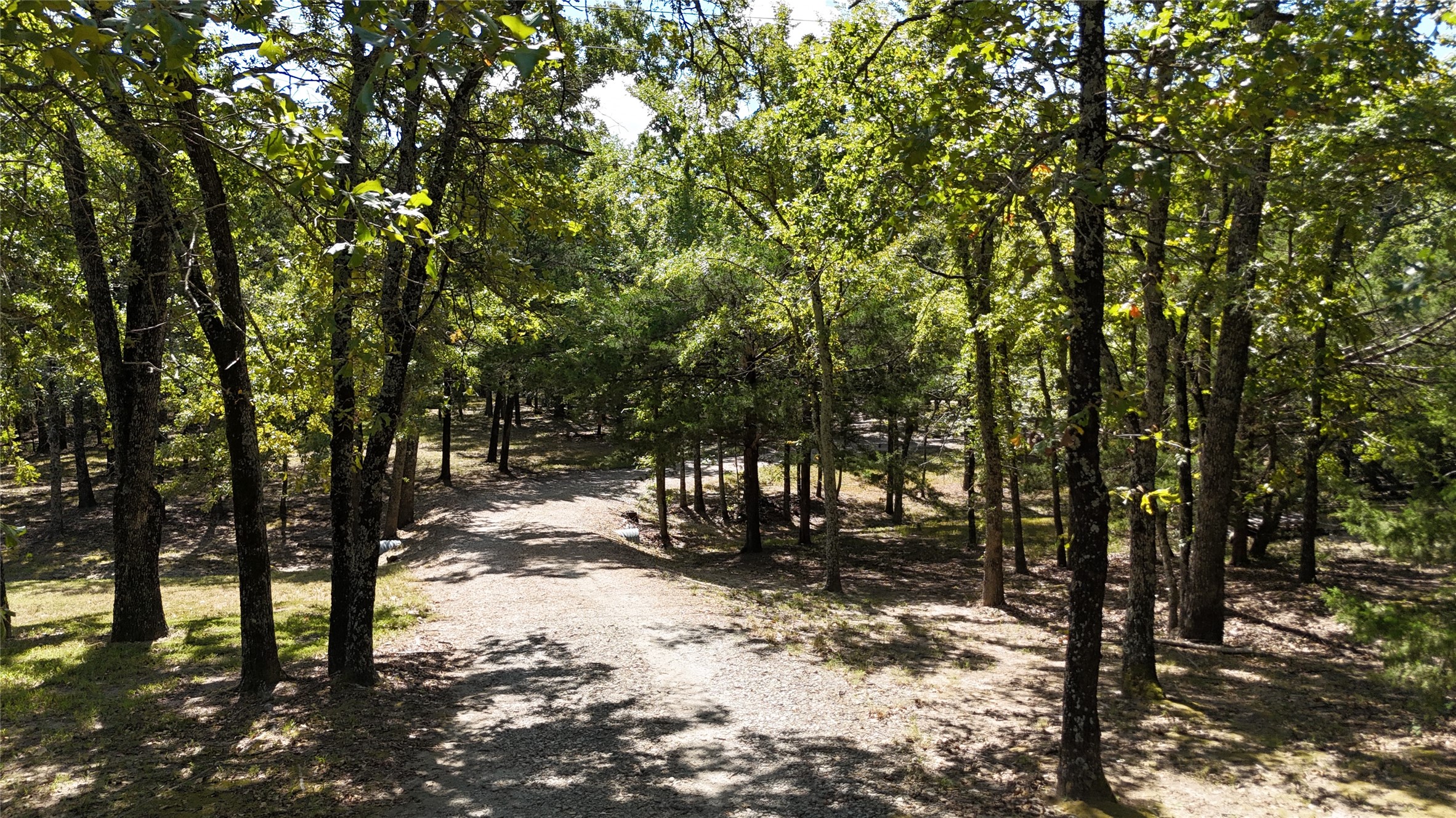 Gravel driveway winding through a wooded property beneath a canopy of mature trees.