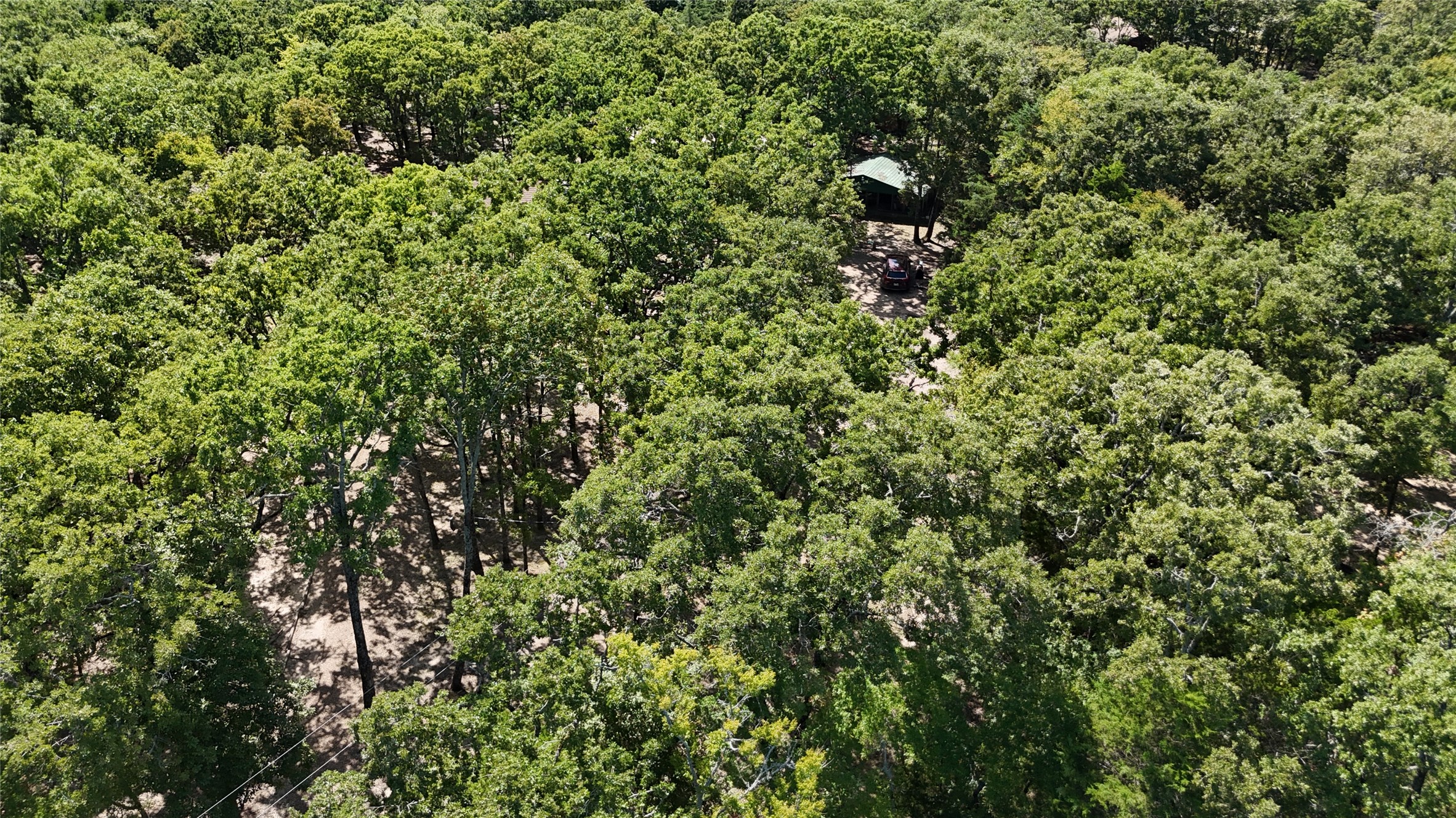 Aerial view of a wooded property with a green-roofed structure and dirt driveway.
