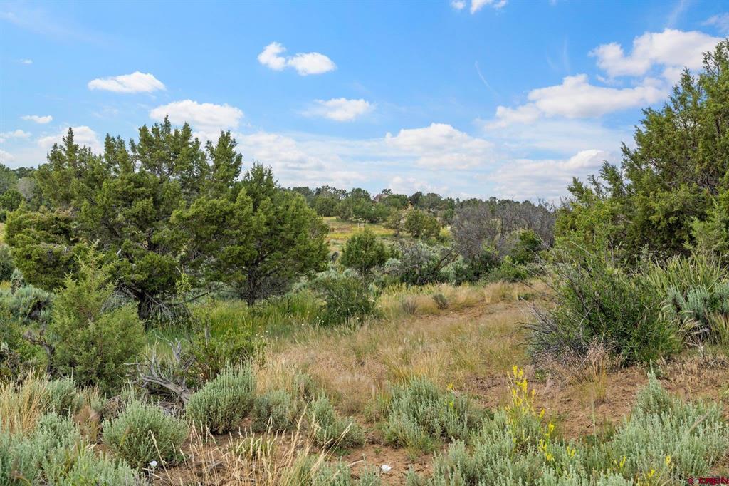 5768 County Road 510