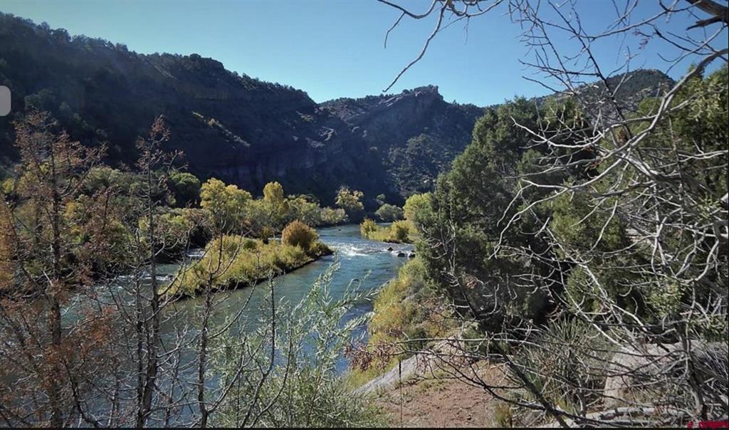 50 River Oaks Unit: 118