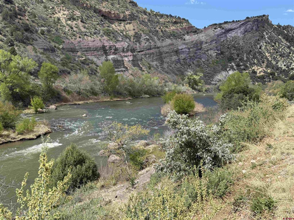 50 River Oaks Unit: 118