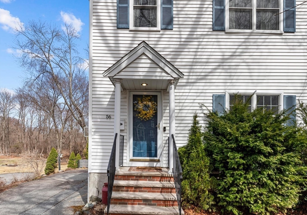 56 Grapevine Ave