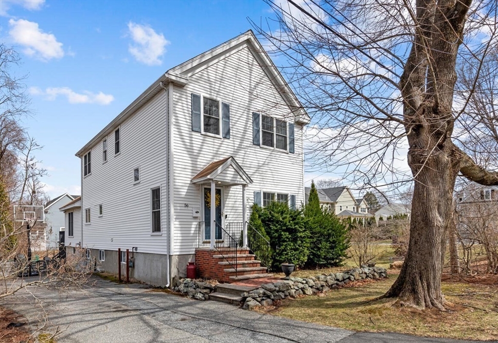 56 Grapevine Ave