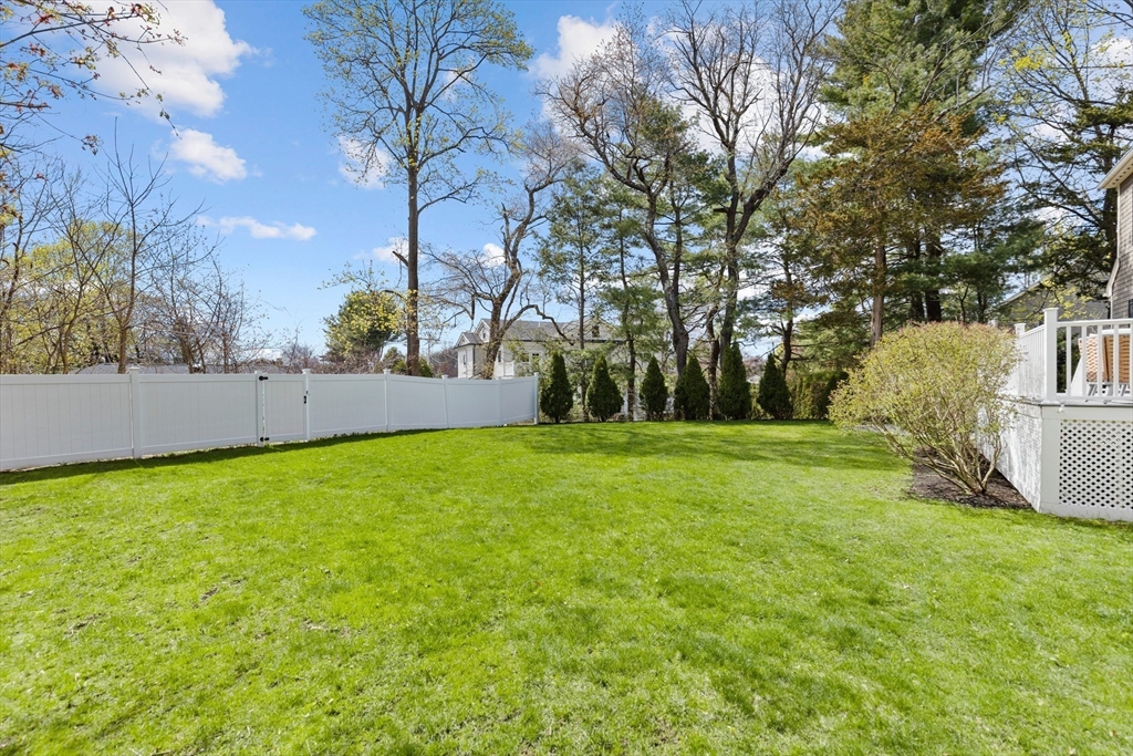 15 Summer St
