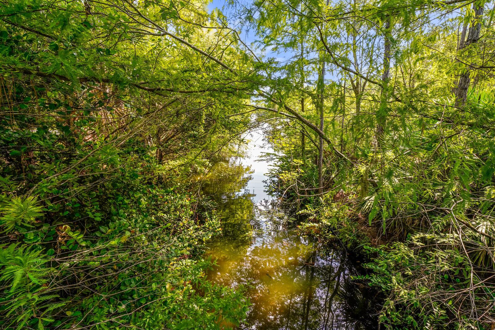 816 University Boulevard