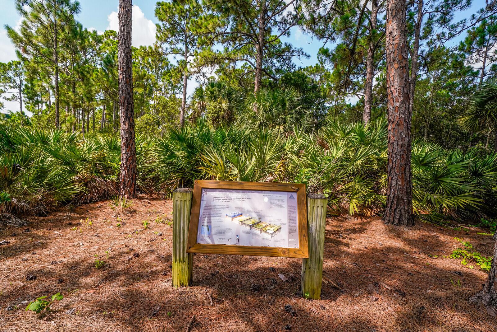 816 University Boulevard