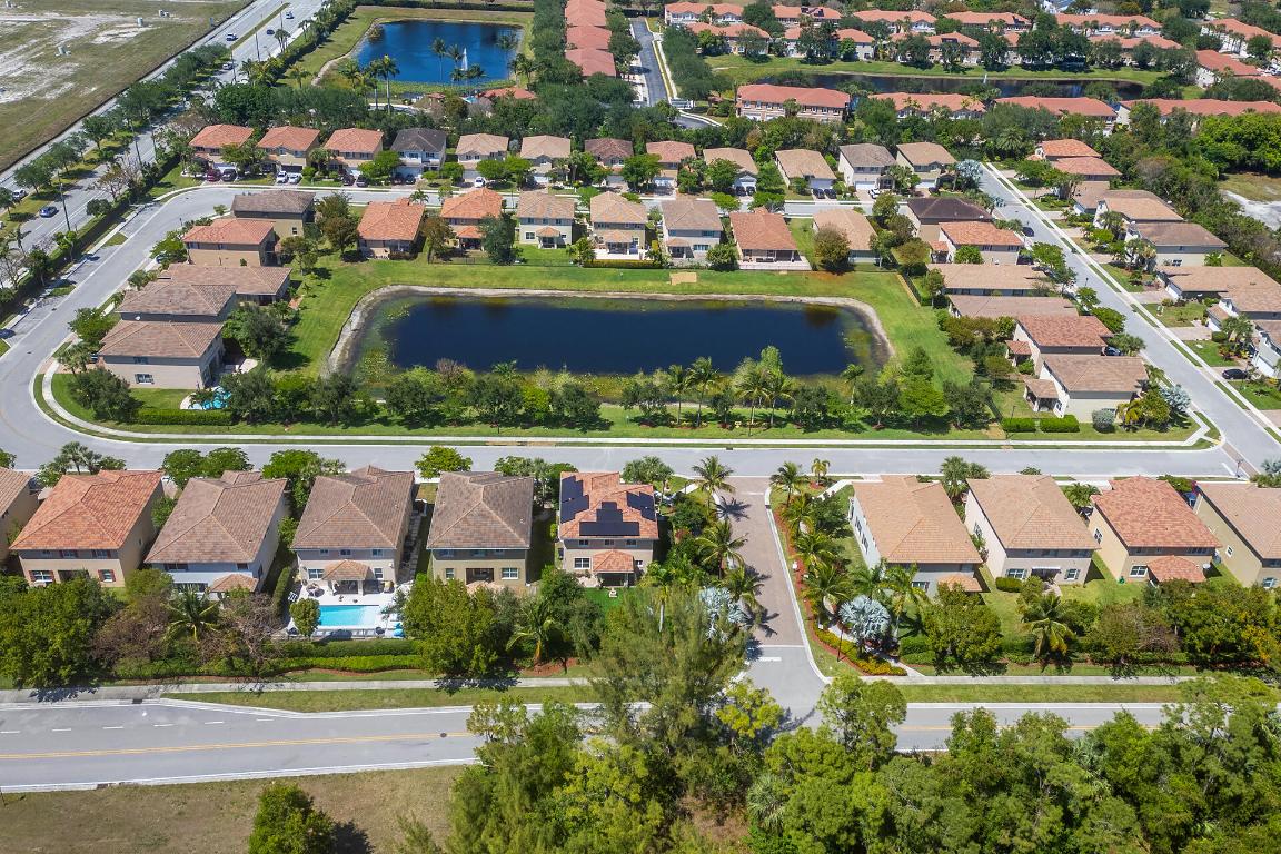 4725 Foxtail Palm Court