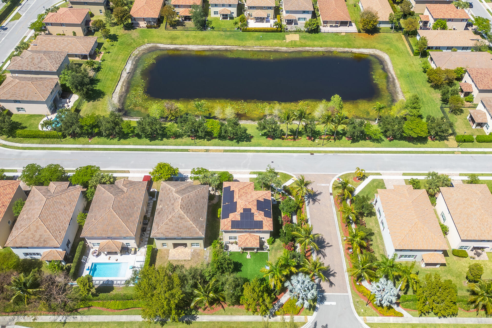 4725 Foxtail Palm Court