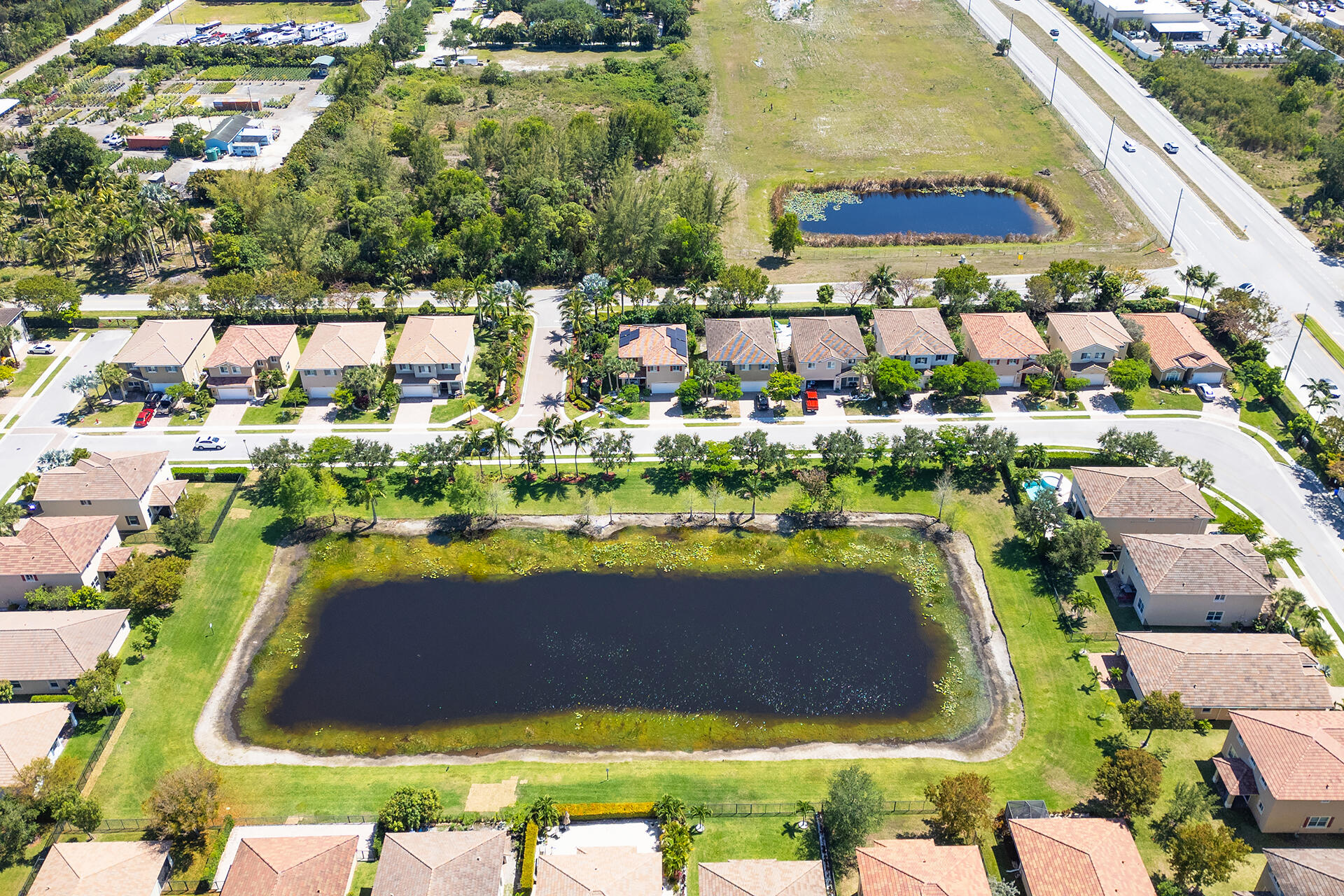 4725 Foxtail Palm Court