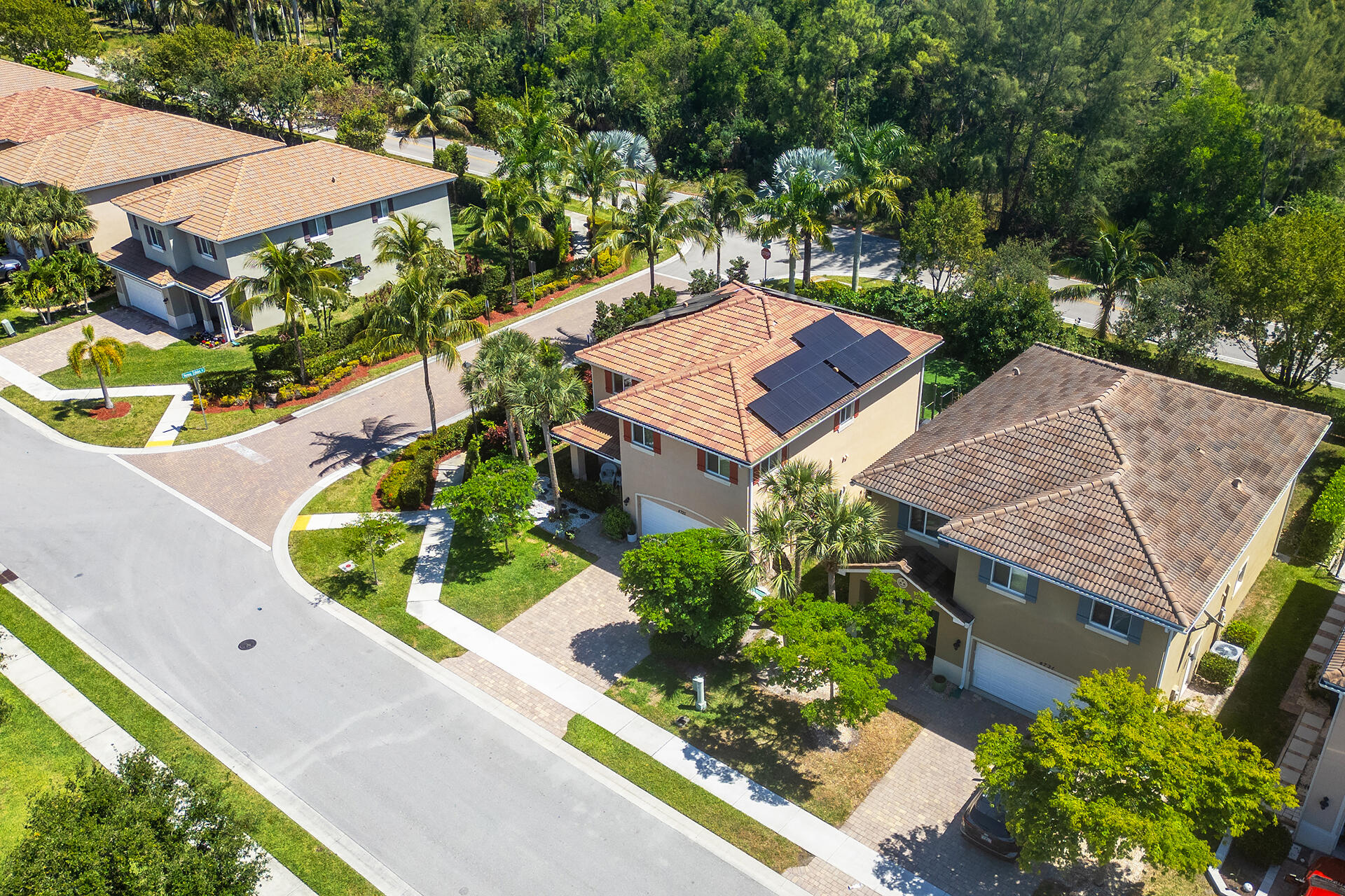 4725 Foxtail Palm Court