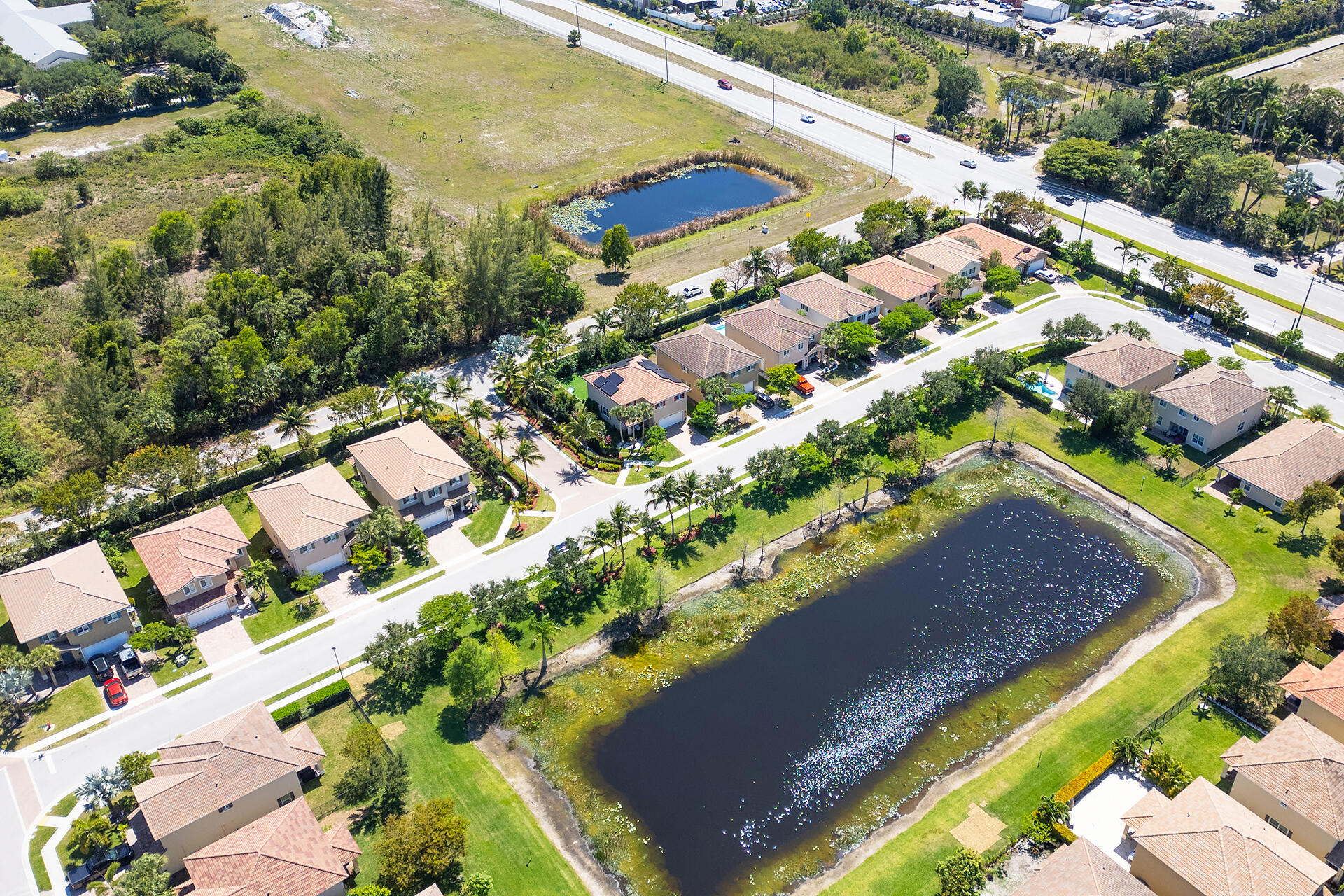 4725 Foxtail Palm Court