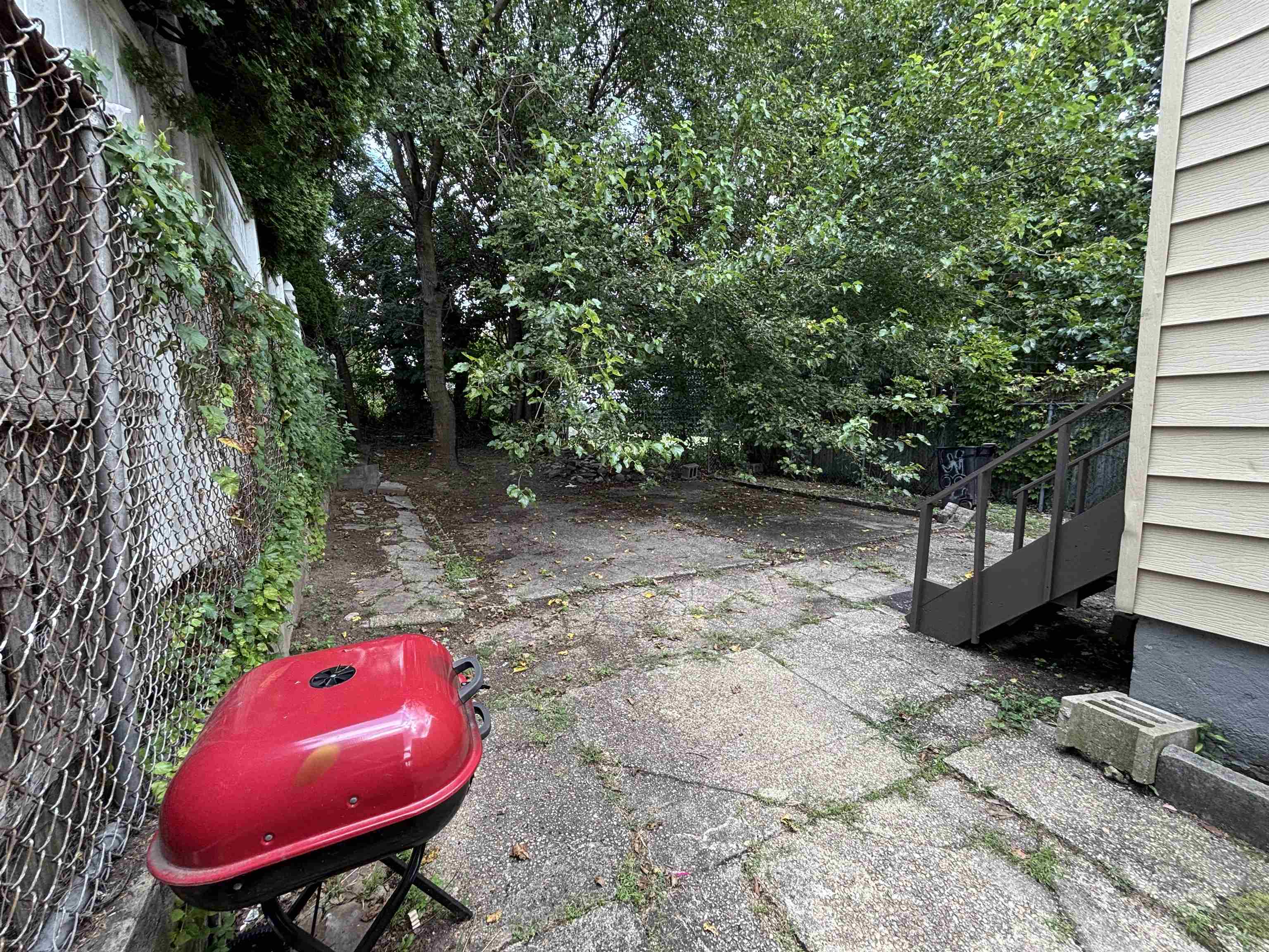 12 CATOR AVE Unit: 1B