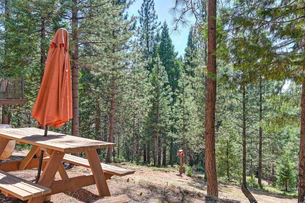 9600 Grizzly Flat Road