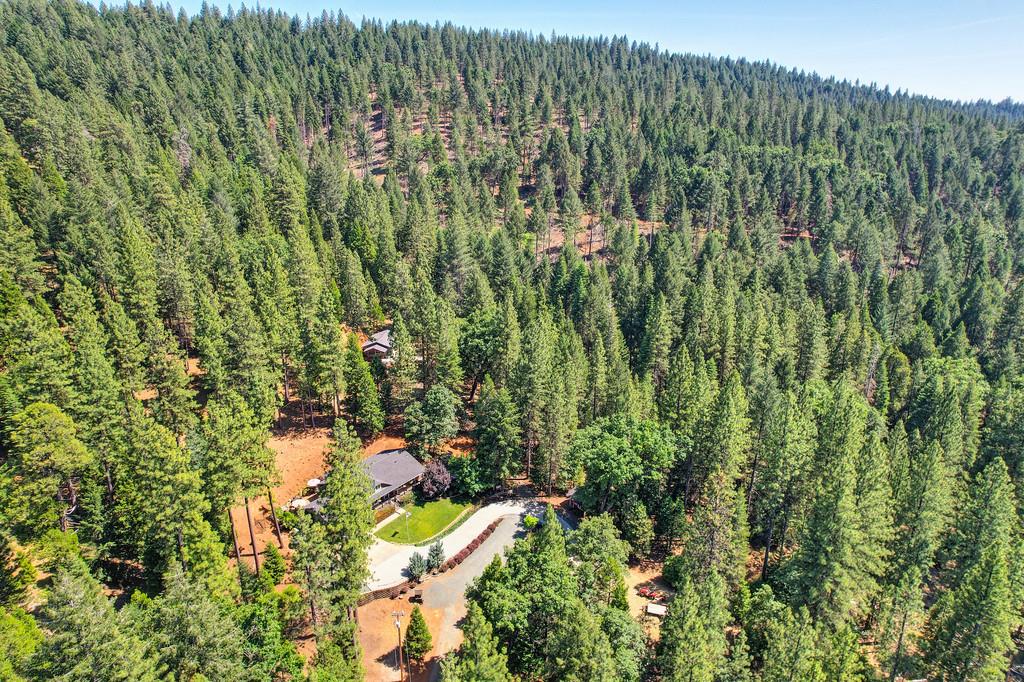 9600 Grizzly Flat Road