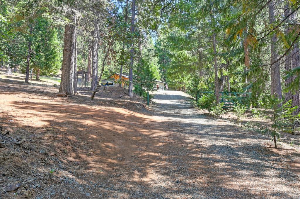 9600 Grizzly Flat Road