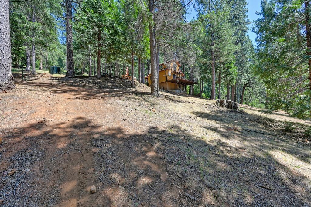 9600 Grizzly Flat Road