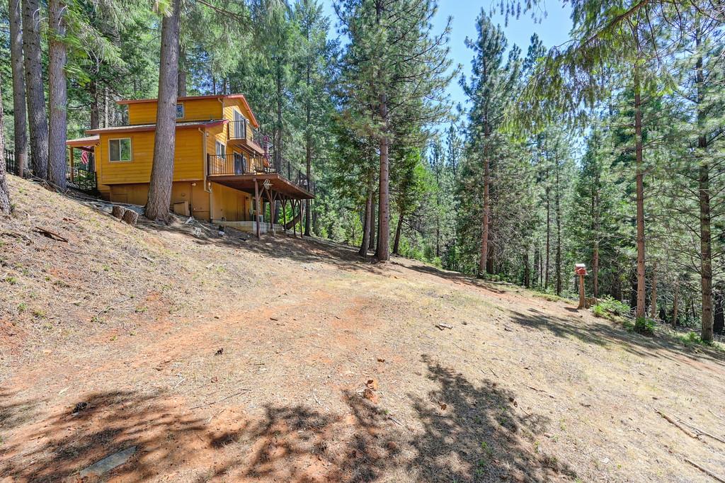 9600 Grizzly Flat Road