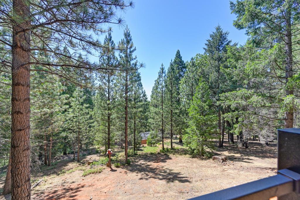 9600 Grizzly Flat Road