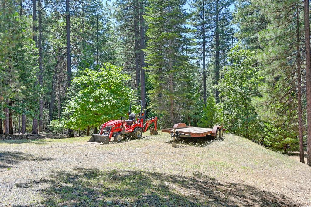 9580 Grizzly Flat Road