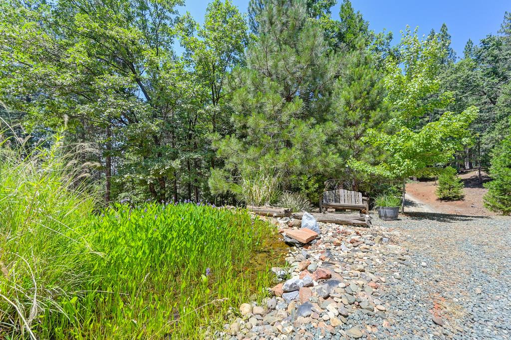 9580 Grizzly Flat Road