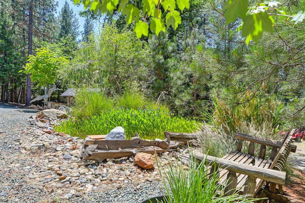 9580 Grizzly Flat Road