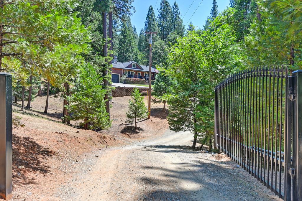 9580 Grizzly Flat Road