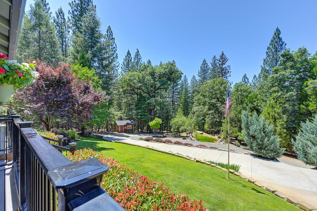 9580 Grizzly Flat Road
