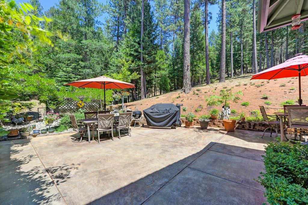 9580 Grizzly Flat Road